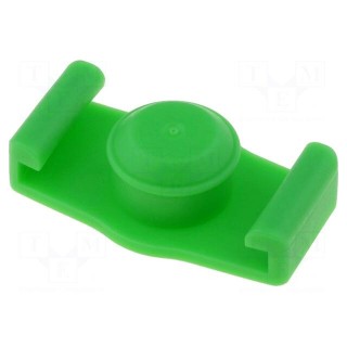 Syringe plug | 5ml | green | for syringes | silicone free | QuantX