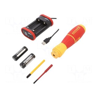 Kit: electric screwdriver | PlusMinus cross PZ-type,slot | IP67