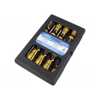 Kit: screwdrivers | Phillips cross,slot | plastic box | 8pcs.