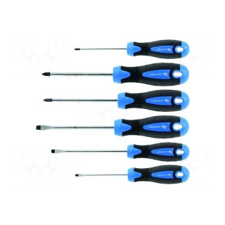 Kit: screwdrivers | Phillips,slot | Features: magnetic | 6pcs.