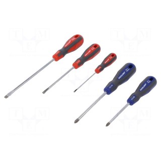 Kit: screwdrivers | Pcs: 5 | Phillips,slot