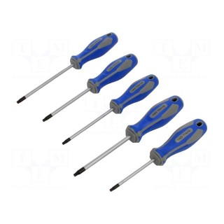 Kit: screwdrivers | Torx® | 5pcs.