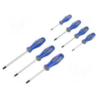 Kit: screwdrivers | Torx® | 7pcs.