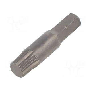 Screwdriver bit | spline (12-angles) | XZN M8 | Overall len: 35mm