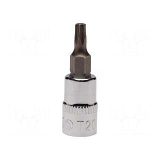 Socket | socket spanner,Torx® | TX20 | 1/4" | 37.5mm | Bit: Torx®