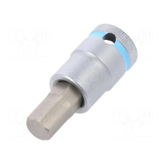 Socket | Hex Plus key,socket spanner | HEX 12mm | 1/2" | 60mm | Zyklop