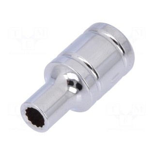 Key | twelve point socket | 4mm | 1/4" | Chrom-vanadium steel