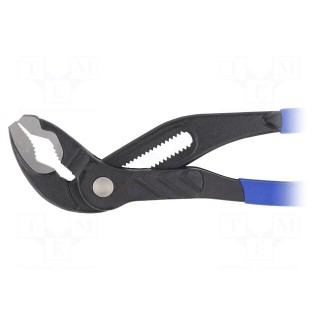 Pliers | for pipe gripping,adjustable | 250mm | with button