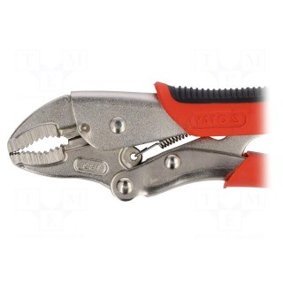 Pliers | Morse's,locking | 180mm | Mat: Chrom-vanadium steel