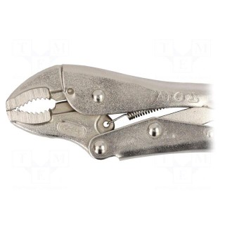 Pliers | Morse's,locking | 180mm | Mat: molybdenum steel