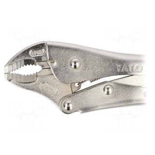 Pliers | Morse's,locking | 250mm | Mat: molybdenum steel