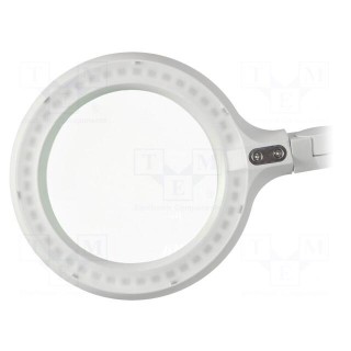 Desktop magnifier with backlight | 3dpt | Ø175mm | Ø7" | 12W | Plug: EU