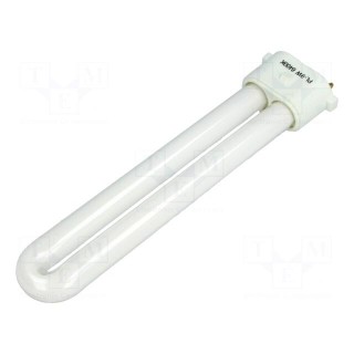Fluorescent lamp | Application: NB-BLAMP02