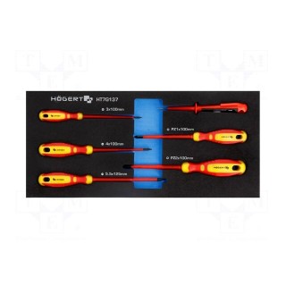 Kit: screwdrivers | insulated | in a foam tray | 6pcs.