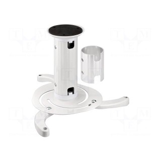Ceiling mount | white | adjustable | 10kg | Hmin: 130mm | Hmax: 200mm