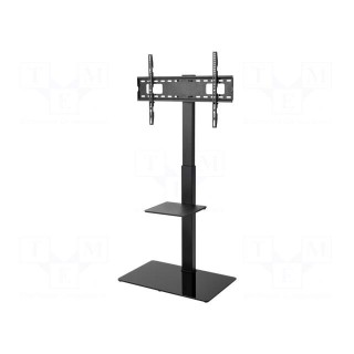 LCD/LED holder | free-standing handle | 40kg