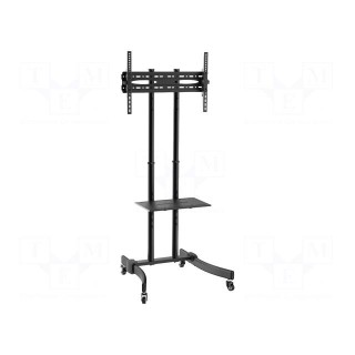 LCD/LED holder | free-standing handle | 600x400mm