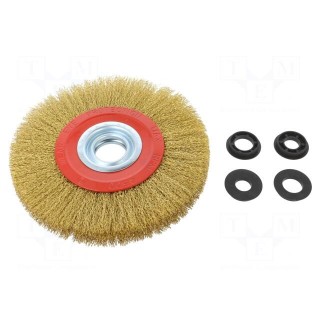 Wheel brush | 200mm | brass