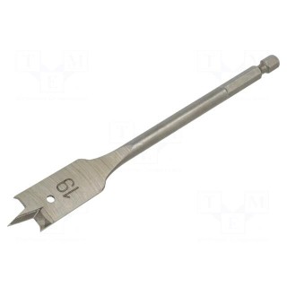 Drill bit | for wood,feather | Ø: 19mm | L: 152mm