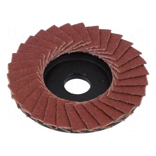 Flap grinding wheels | 50mm | Granularity: 100 | PR28547