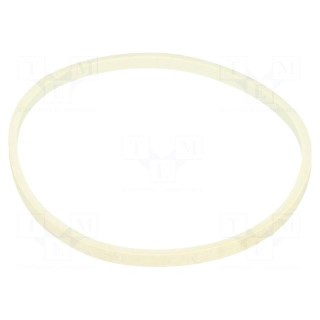 Rubber bands | Width: 3mm | Thick: 1.5mm | rubber | Colour: white