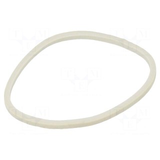 Rubber bands | Width: 3mm | Thick: 1.5mm | rubber | white | Ø: 80mm | 1kg