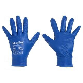 Protective gloves | Size: 10 | blue | MaxiDex®