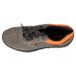 Shoes | Size: 43 | grey-black | leather | with metal toecap | 7246E