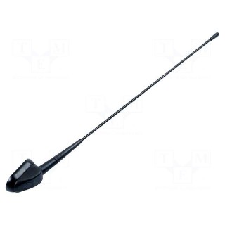 Antenna assembly | 0.431m | M6 | Fiat | Rod inclination: regulated