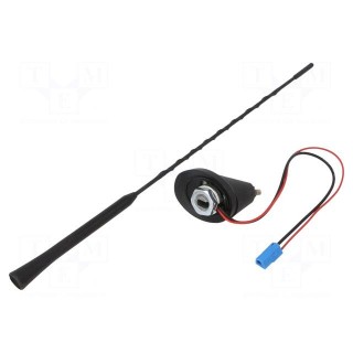 Antenna | car top | 0.4m | AM,FM | Opel | with amplifier | 0.3m | 12VDC