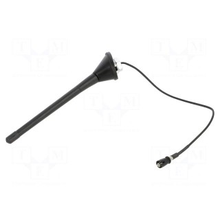 Antenna | car top | 175mm | AM,FM | VW | with amplifier | 0.3m