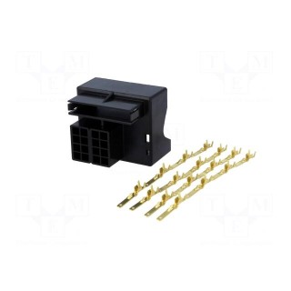 Kit | socket | Quadlock | PIN: 16 | with terminal | Works with: 80320