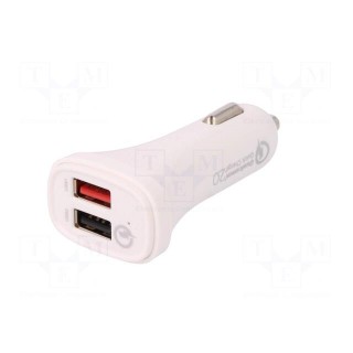 USB power supply | USB A socket x2 | Sup.volt: 12÷24VDC | black