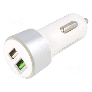 USB power supply | USB A socket x2 | white | Uin: 12÷24V