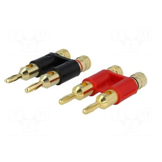 Connector: 4mm banana | gold-plated | double | plug | on cable