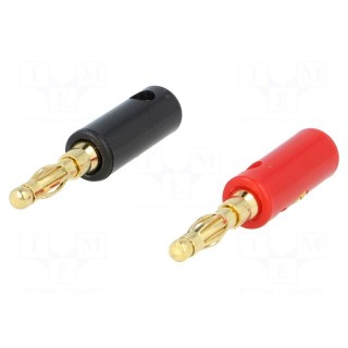 Connector: 4mm banana | gold-plated | plug | on cable