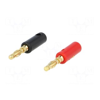 Connector: 4mm banana | gold-plated | plug | on cable