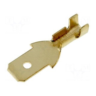 Terminal: flat | 4.7mm | 0.3÷1mm2 | gold-plated | male