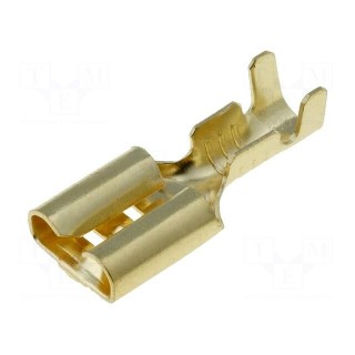 Terminal: flat | 6.3mm | 1÷2.5mm2 | gold-plated | female