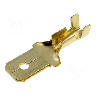 Terminal: flat | 6.3mm | 1÷2.5mm2 | gold-plated | male