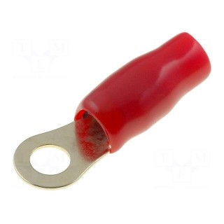 Terminal: ring | M6 | 16mm2 | gold-plated | insulated | red