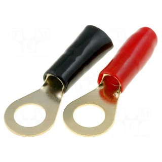 Terminal: ring | M8 | 16mm2 | gold-plated | insulated | red and black