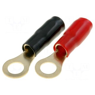 Terminal: ring | M8 | 22mm2 | gold-plated | insulated | red and black