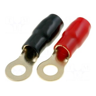 Terminal: ring | M8 | 35mm2 | gold-plated | insulated | red and black