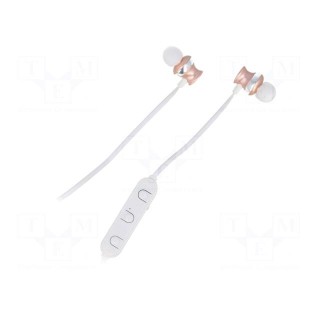 Bluetooth headphones with microphone | black | USB,USB micro