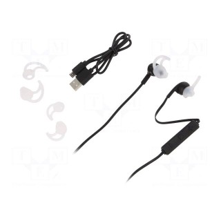 Bluetooth headphones with microphone | black | USB,USB micro