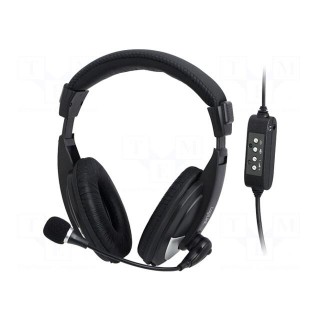 Headphones with microphone | black,silver | USB | 20÷20000Hz | 2.2m