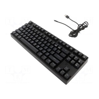 Keyboard | black | USB A,USB C | Features: mechanical keyboard,RGB