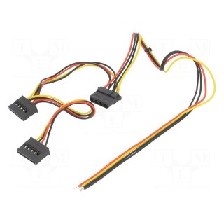 Cable: mains | Molex female,wires,SATA female x2 | 0.4m