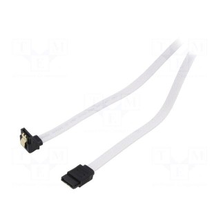 Cable: SATA | SATA plug,SATA plug angled | 0.5m | SATA III | white